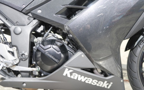 KAWASAKI NINJA 250 EX250L