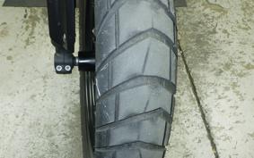 TRIUMPH SCRAMBLER400X 2024