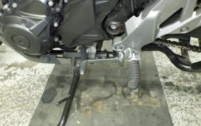 SUZUKI V-STROM 250