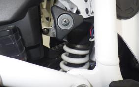 TRIUMPH TIGER 900 RALLY PRO 2022