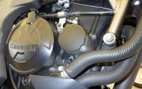 KAWASAKI Z250 SL BR250E