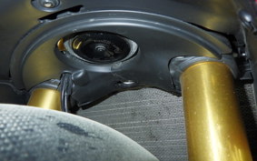DUCATI 1199 PANIGALE S 2012