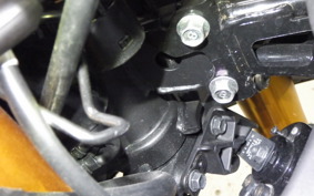 YAMAHA YZF R-3 2025 RH21J