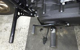 HARLEY FXLRST1920 2025