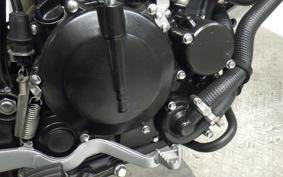 KAWASAKI KLX250D TRACKER X