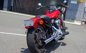 HARLEY FLS 2012 JR5