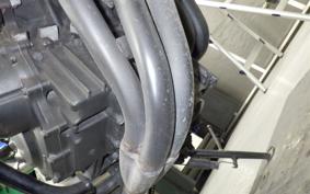 HONDA HORNET 250 2009 MC31