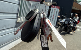 HARLEY FXBBS 2021 YYK