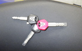 YAMAHA XSR900 2024 RN80J