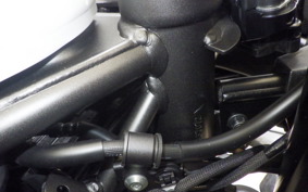KAWASAKI ZX-4R SE 2025 ZX400P