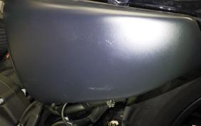 HARLEY XL883N 2019