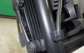 HONDA REBEL 250 S MC49