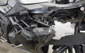 KAWASAKI NINJA 250 ABS EX250L