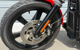 HARLEY FXBBS 2024 YYK