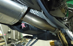 TRIUMPH TRIUMPH DAYTONA675 2009
