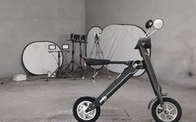 OTHER  BLAZE  SMART EV BLAZE