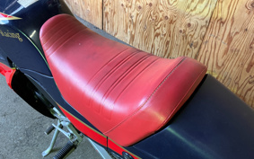 YAMAHA AKUSHI STREET SE53J