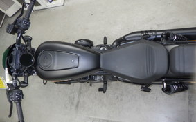 HARLEY RH975S 2025