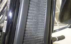 HARLEY FLSB 1750 2021