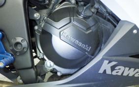 KAWASAKI NINJA 250 EX250L