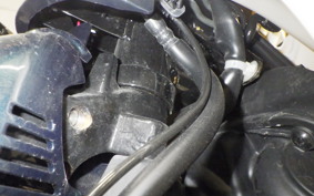 HONDA C110 SUPER CUB JA59