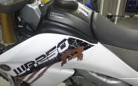 YAMAHA WR250R DG15J