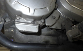 YAMAHA SEROW 250 2025 DG11J