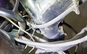 HONDA MONKEY 1991 Z50J