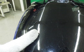 KAWASAKI ESTRELLA RS 2007 BJ250A