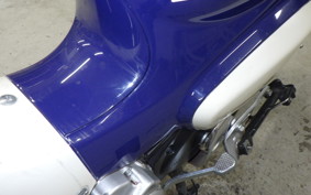 HONDA C110 SUPER CUB 2010 JA61