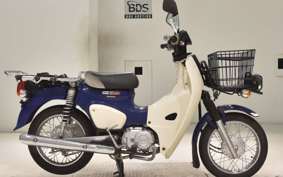 HONDA C110 SUPER CUB JA42
