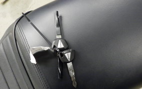 KAWASAKI Z900RS CAFE 2025 ZR900K