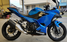 KAWASAKI NINJA 250 EX250P
