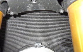 DUCATI SS950S 2023