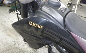 YAMAHA WR250X 2020 DG15J