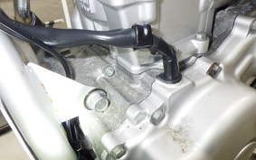 YAMAHA WR250R 1996 DG15J