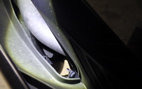 YAMAHA YZF R-3 2021 RH13J