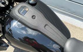 HARLEY FXLRST 2023 YXZ