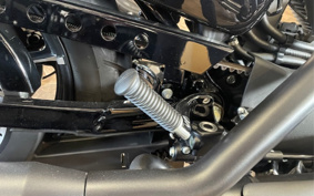 HARLEY XL883N 2020 LE2