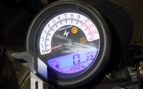 OTHER UNREGISTERED MODEL by BDS250 2024