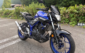 YAMAHA MT-25 RG43J