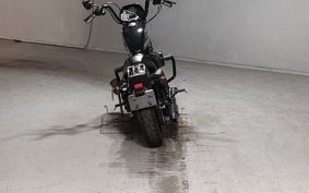 HARLEY XL1200NS 2019 LP3