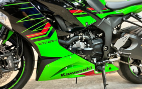 KAWASAKI NINJA ZX-6R 2022 ZX636G