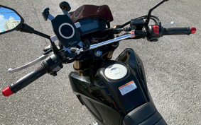 HONDA GROM JC61