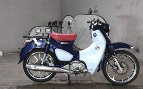 HONDA  SUPER CUB C125 JA58