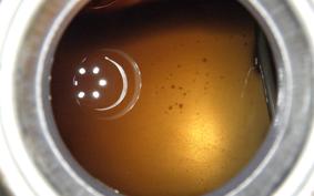 HONDA NSR250R 2022 MC18