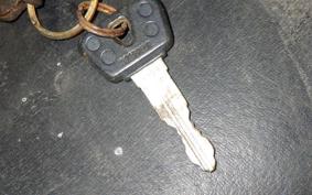 YAMAHA FZR250 Gen.2 R 2009 3LN