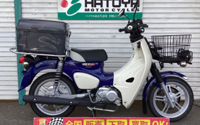 HONDA C110 SUPER CUB PRO 2022 JA61