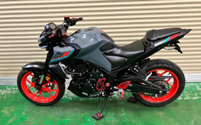 YAMAHA MT-25 ABS RG43J
