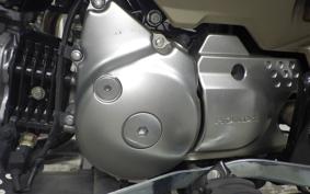 HONDA CT125 HUNTER CUB JA55
